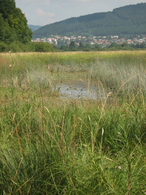 Cerkniško jezero
8.8.2009
