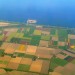Pogled na polja tulipanov iz letala