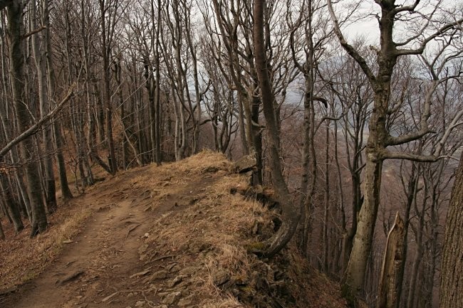 Strojna_Donacka_Stolpnik - foto povečava