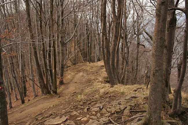 Strojna_Donacka_Stolpnik - foto povečava