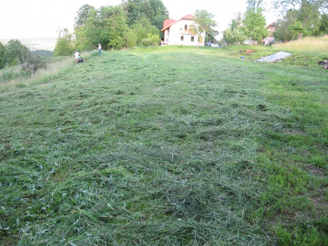 Košnja 2009 - foto