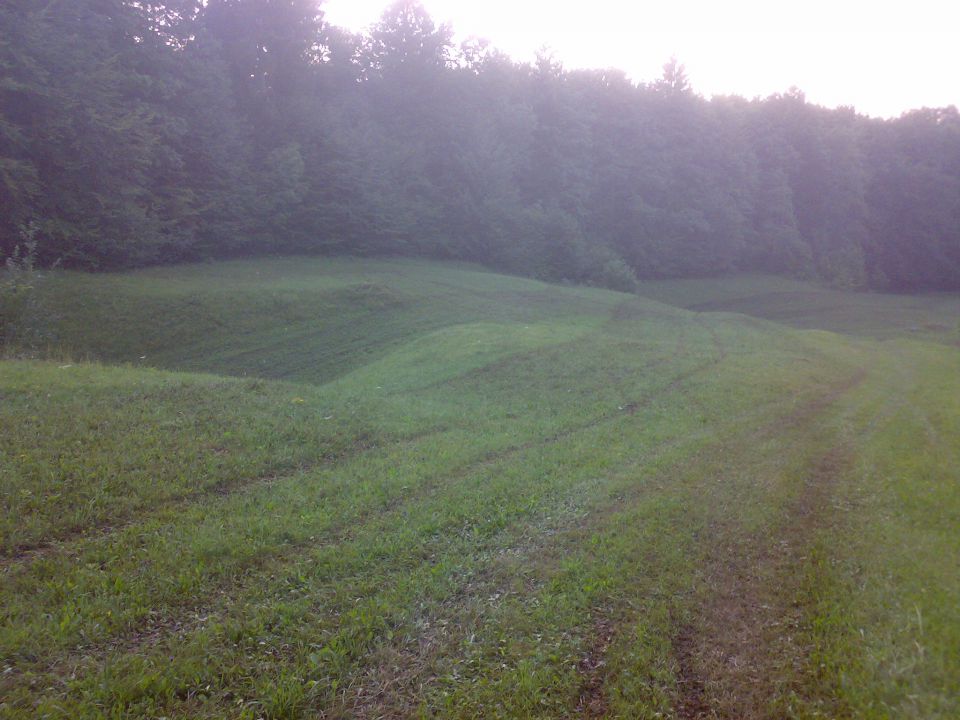 Gnojenje - foto povečava