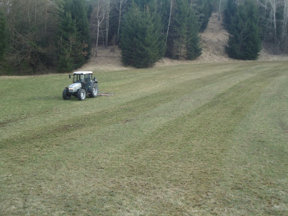 Leto 2015 - foto povečava