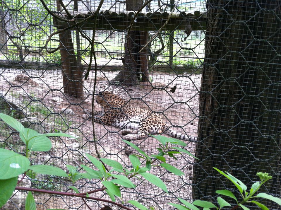 ZOO LJ obisk 3.5.13 - foto povečava