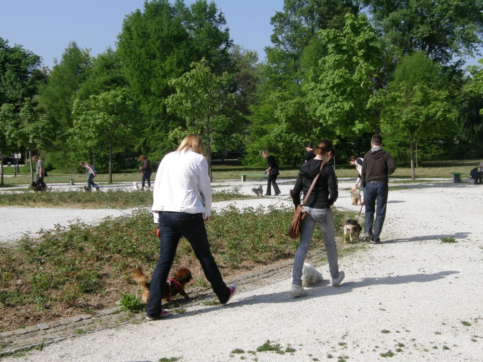 Tivoli 16.05.2009 - foto povečava