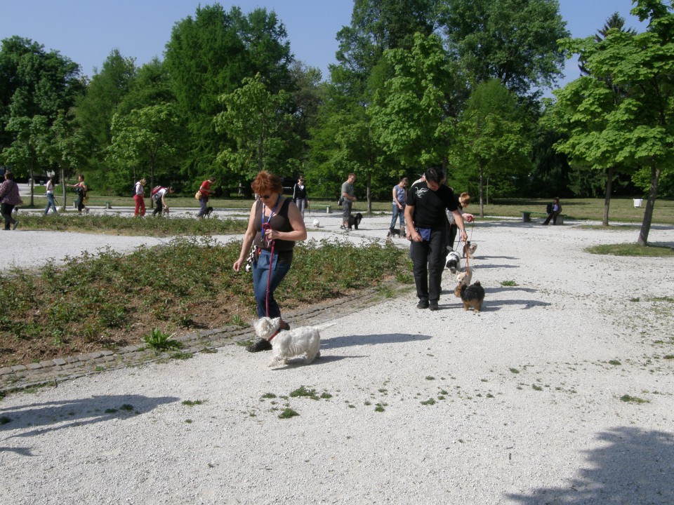 Tivoli 16.05.2009 - foto povečava