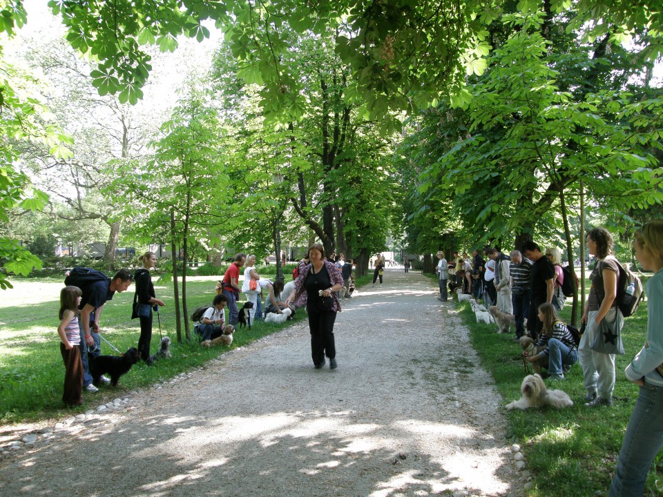 Tivoli 16.05.2009 - foto povečava