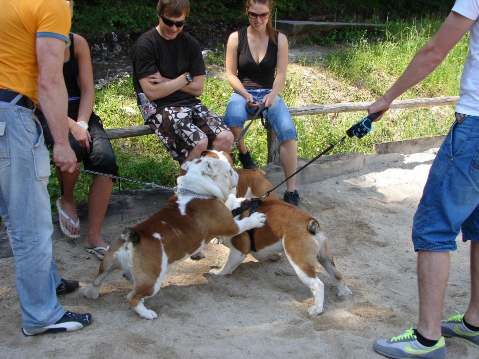 1. easyrolling piknik - foto povečava