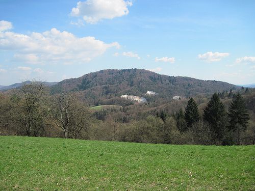 Molnik