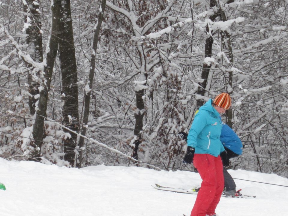 SMUČANJE POLŽEVO FEB 2013 - foto povečava