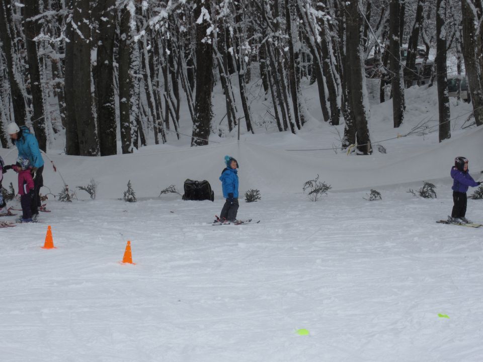 SMUČANJE POLŽEVO FEB 2013 - foto povečava