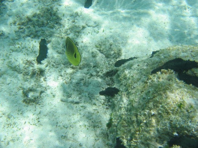 Mauritius - foto povečava