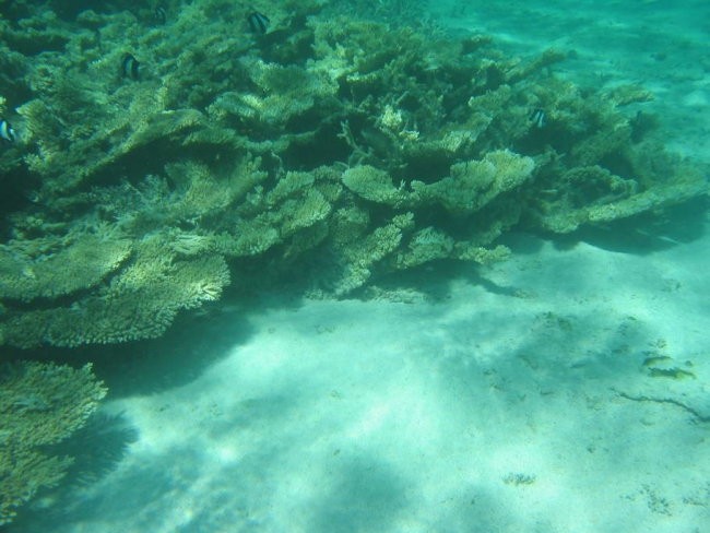 Mauritius - foto povečava