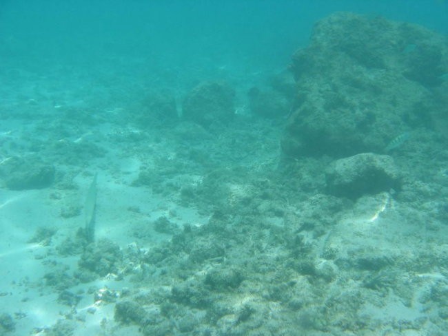 Mauritius - foto povečava