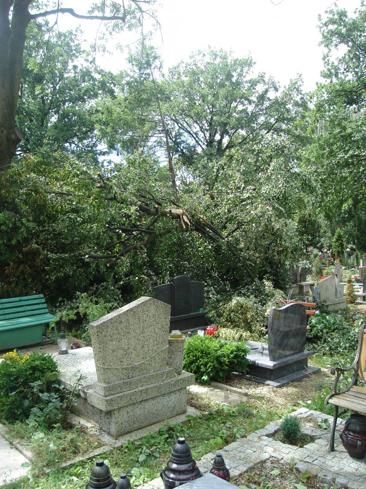 Cmentarz i widok z mojego okna :( - foto povečava