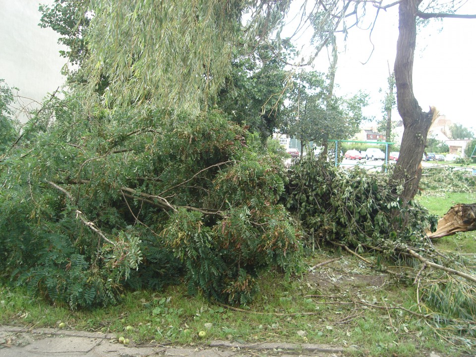 Cmentarz i widok z mojego okna :( - foto povečava