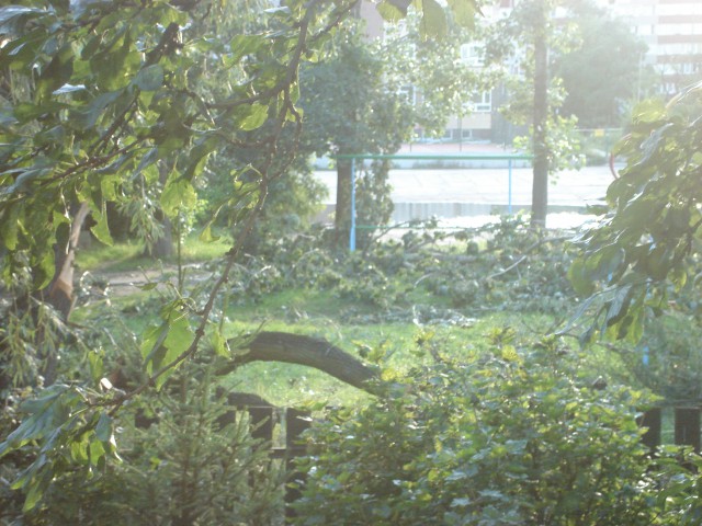 Cmentarz i widok z mojego okna :( - foto