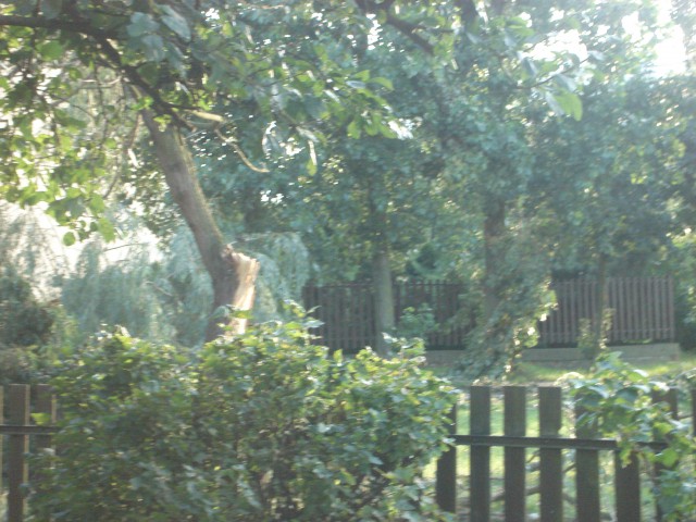 Cmentarz i widok z mojego okna :( - foto