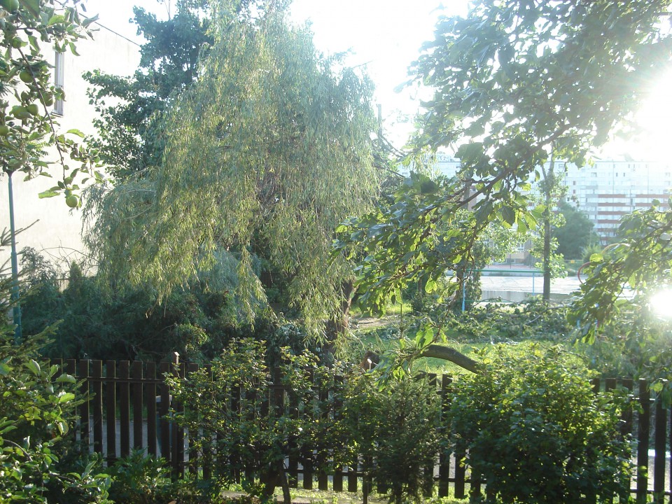 Cmentarz i widok z mojego okna :( - foto povečava