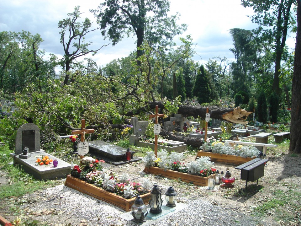 Cmentarz i widok z mojego okna :( - foto povečava