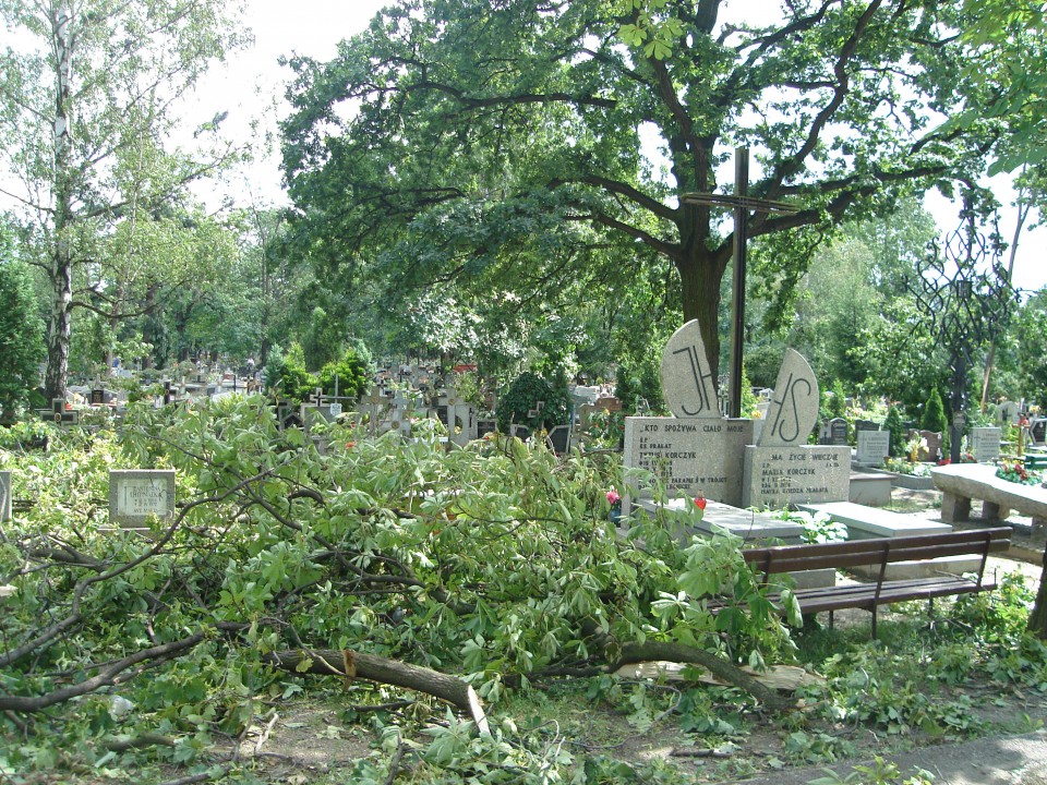 Cmentarz i widok z mojego okna :( - foto povečava