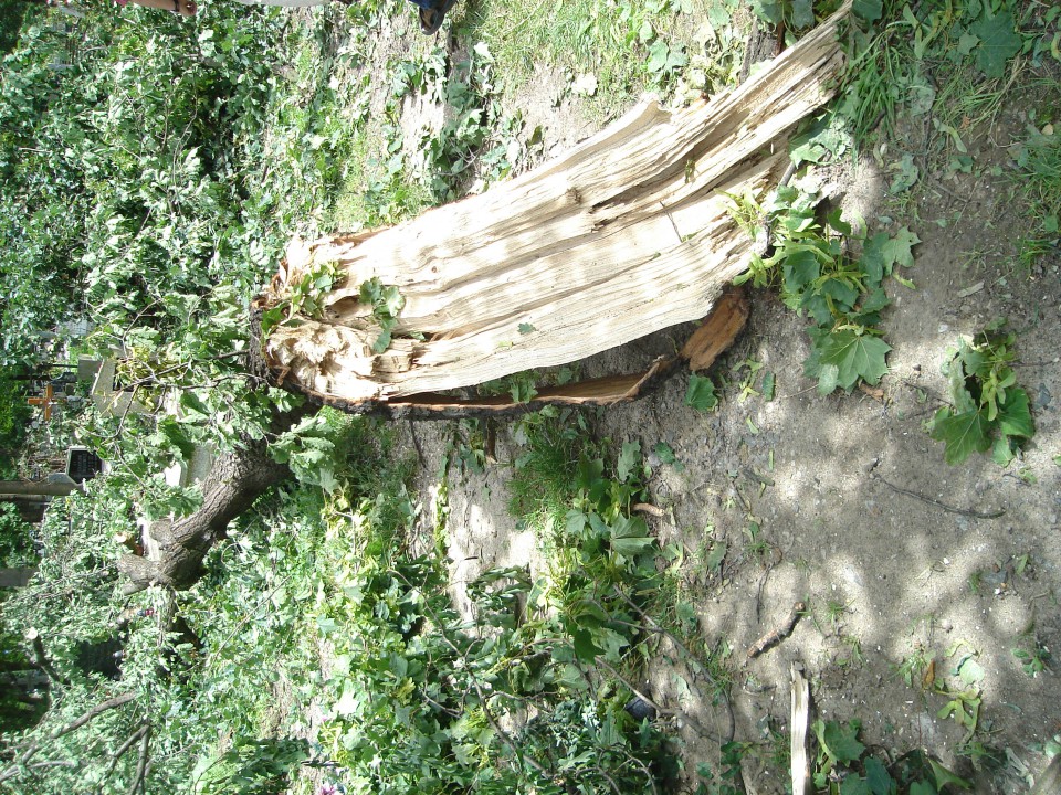 Cmentarz i widok z mojego okna :( - foto povečava
