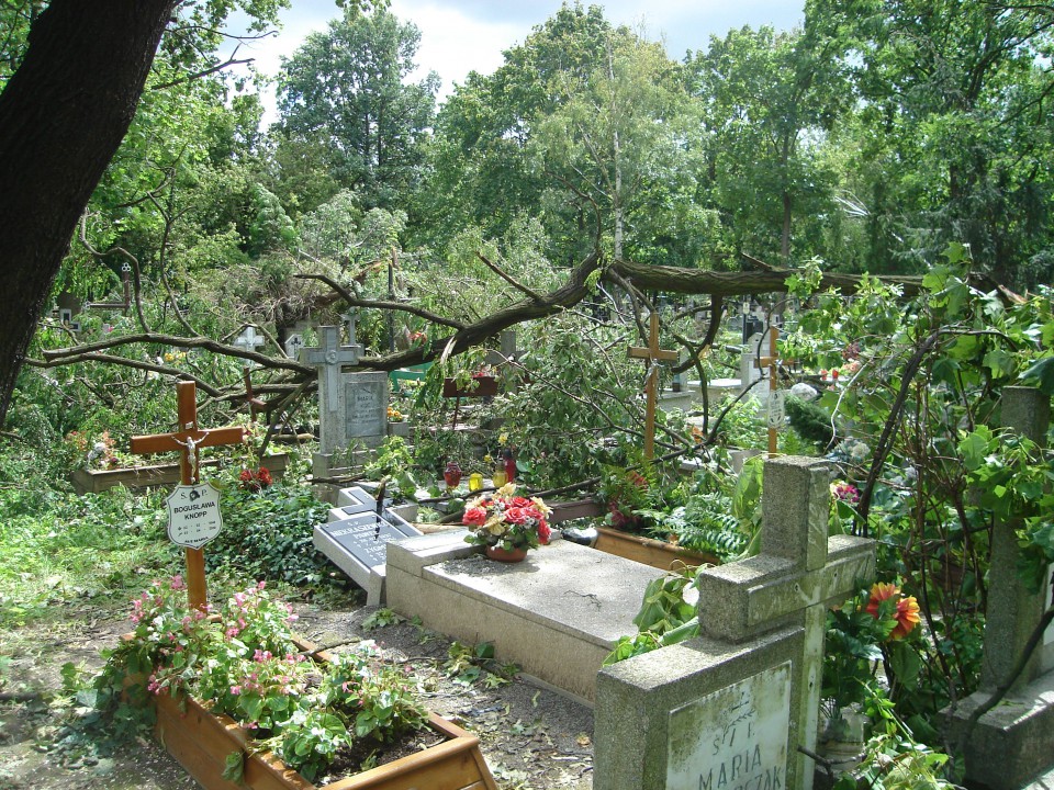 Cmentarz i widok z mojego okna :( - foto povečava