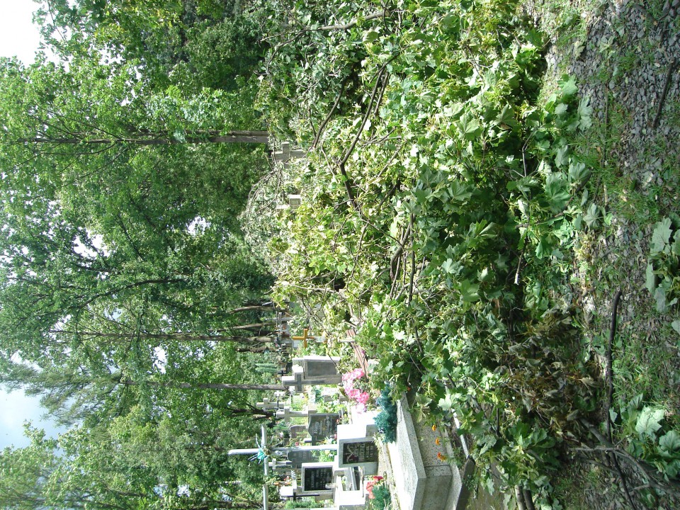 Cmentarz i widok z mojego okna :( - foto povečava