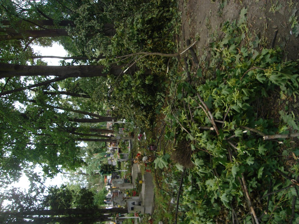 Cmentarz i widok z mojego okna :( - foto povečava