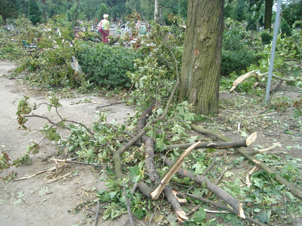 Cmentarz i widok z mojego okna :( - foto povečava