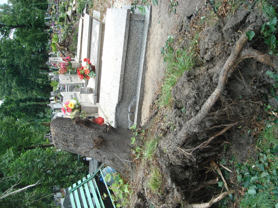 Cmentarz i widok z mojego okna :( - foto povečava