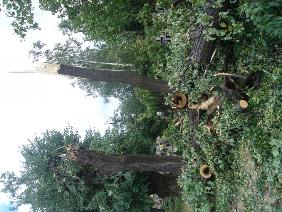Cmentarz i widok z mojego okna :( - foto povečava