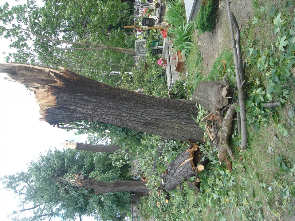 Cmentarz i widok z mojego okna :( - foto povečava