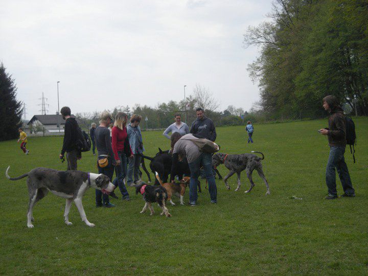 Biba, Princ, Toro - foto povečava