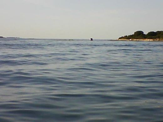 Novo - foto povečava