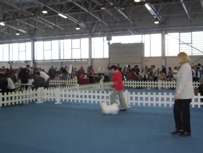Kleopatra (Češka); CAC, CACIB