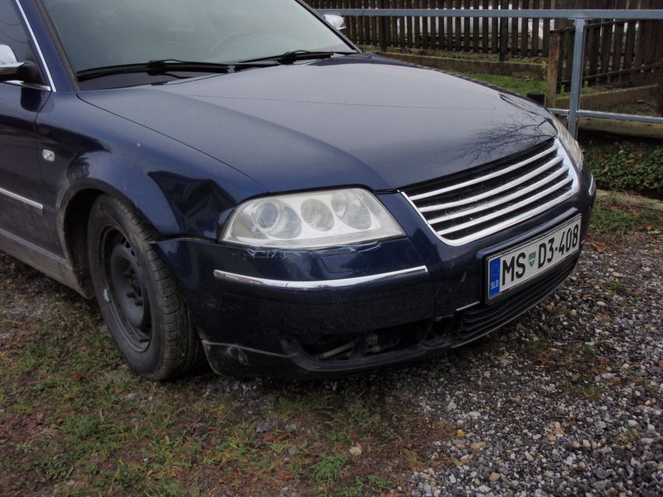 VW Passat škoda zaradi srne - foto povečava