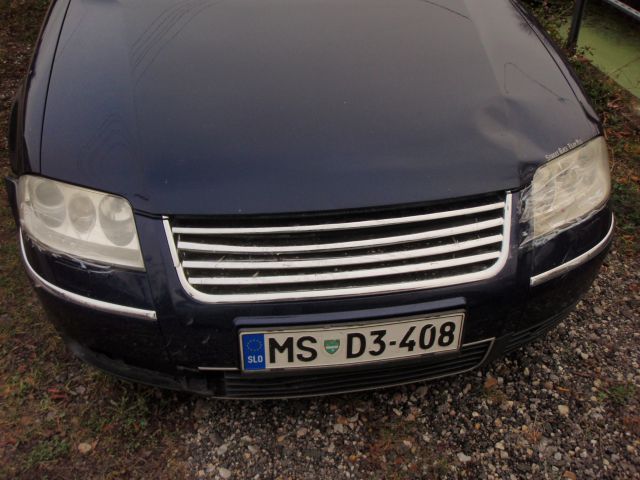 VW Passat škoda zaradi srne - foto