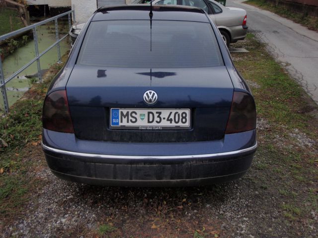 VW Passat škoda zaradi srne - foto
