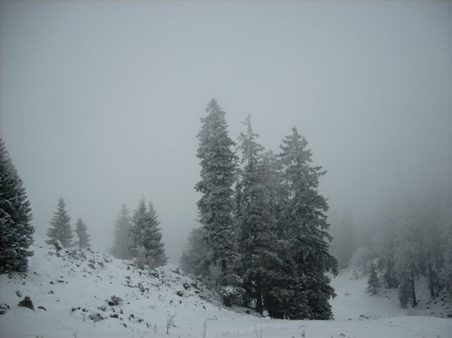 Menina planina - 13.12.2009 - foto