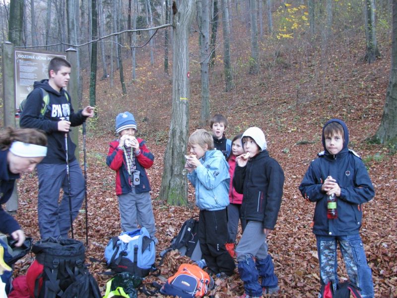 Boč - 6.11.2010 - foto povečava