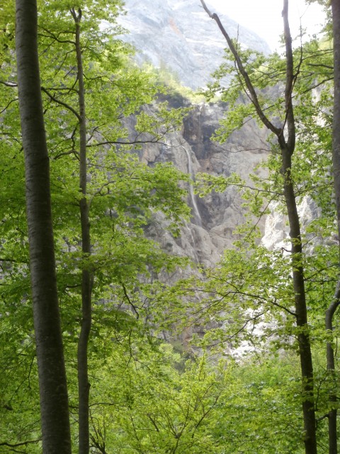 Logarska 22.5 - foto