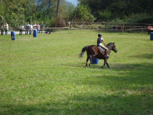 Konjske dirke-slap ob idrijci 2009 - foto