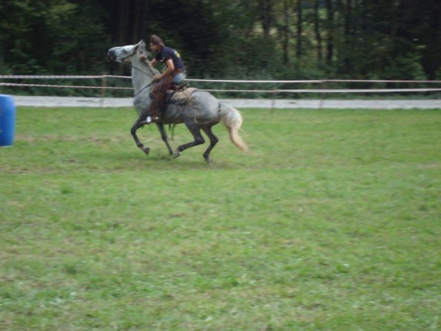 Konjske dirke-slap ob idrijci 2009 - foto