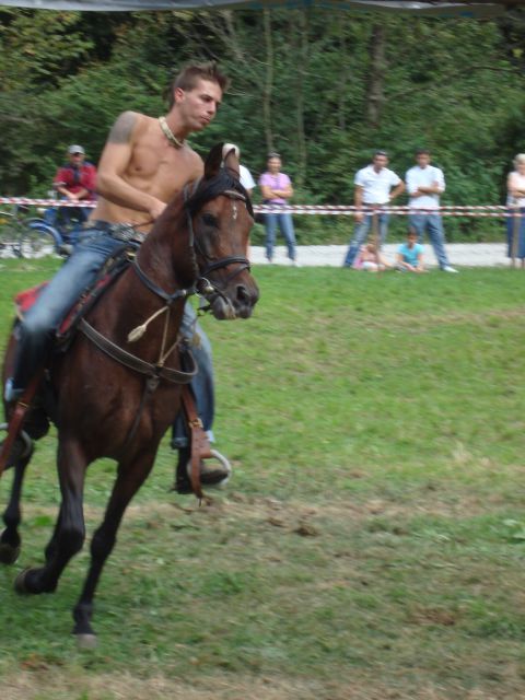 Konjske dirke-slap ob idrijci 2009 - foto