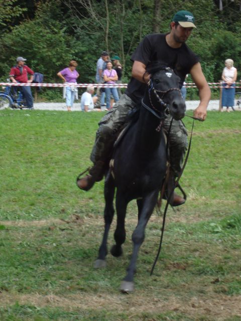 Konjske dirke-slap ob idrijci 2009 - foto