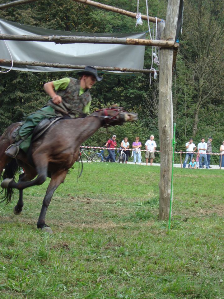 Konjske dirke-slap ob idrijci 2009 - foto povečava
