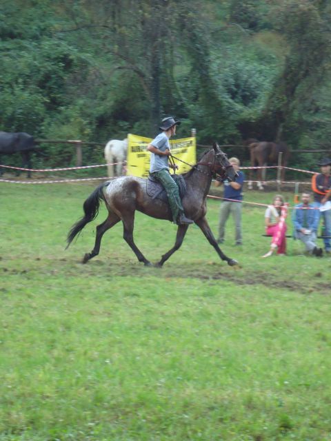 Konjske dirke-slap ob idrijci 2009 - foto