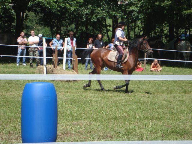 Konjske dirke-banjšice 2009 - foto