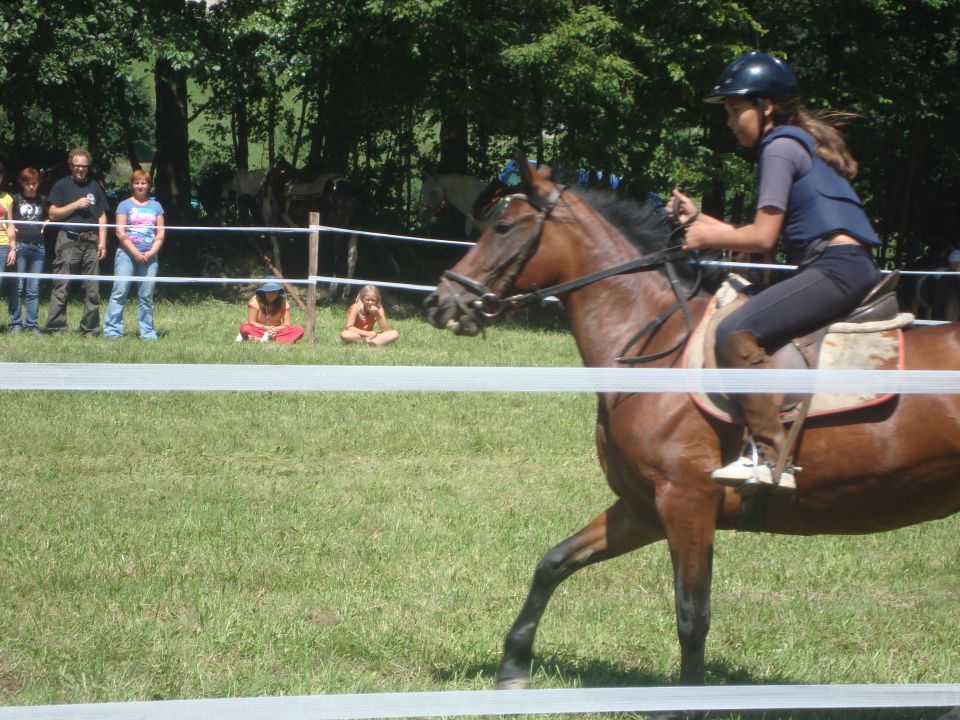 Konjske dirke-banjšice 2009 - foto povečava